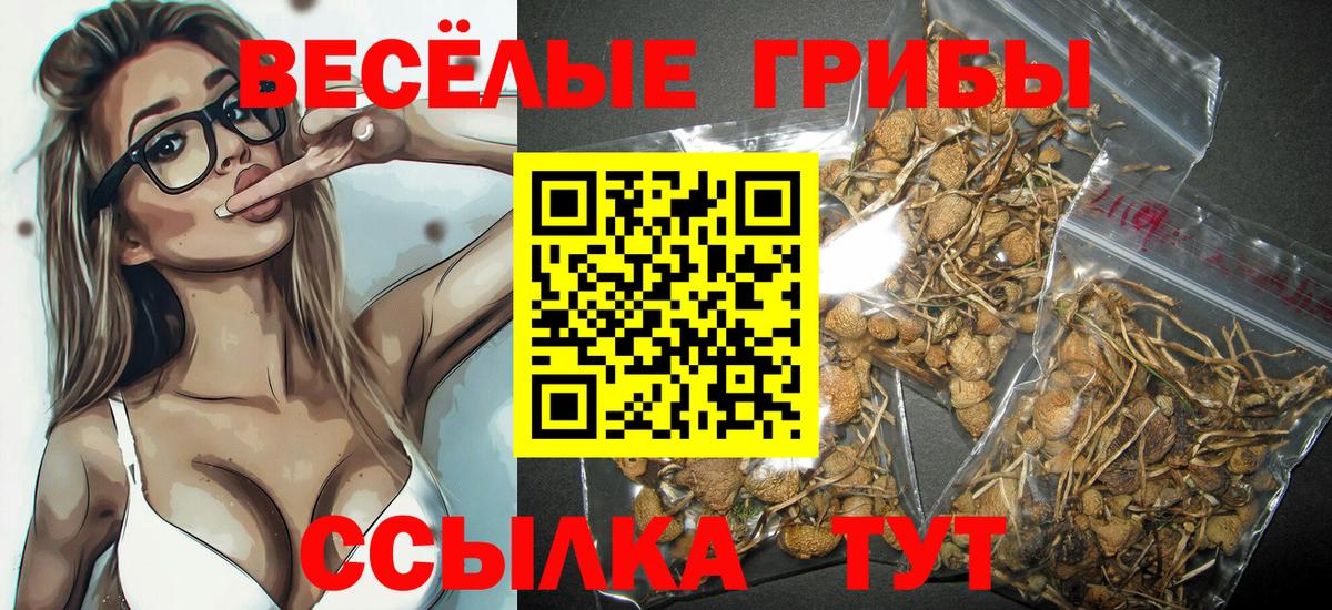 Псилоцибиновые грибы Psilocybe  Вход с VPN  Серпухов 