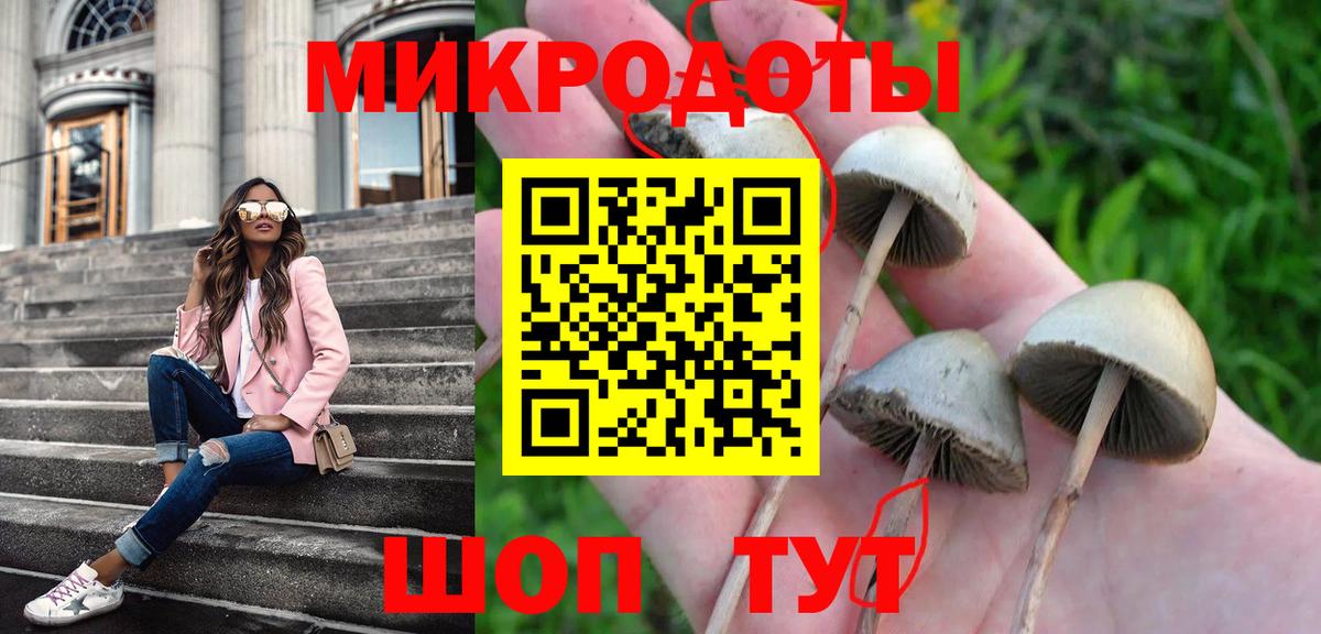 Псилоцибиновые грибы прущие грибы Серпухов